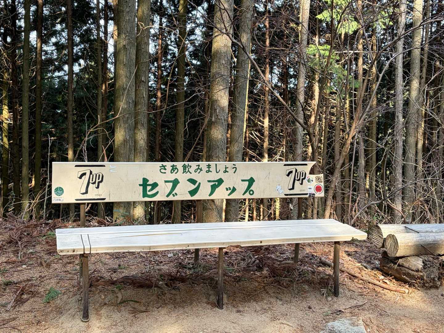 千早本道登山口-金剛山-府民の森 ちはや園地 往復コースの写真