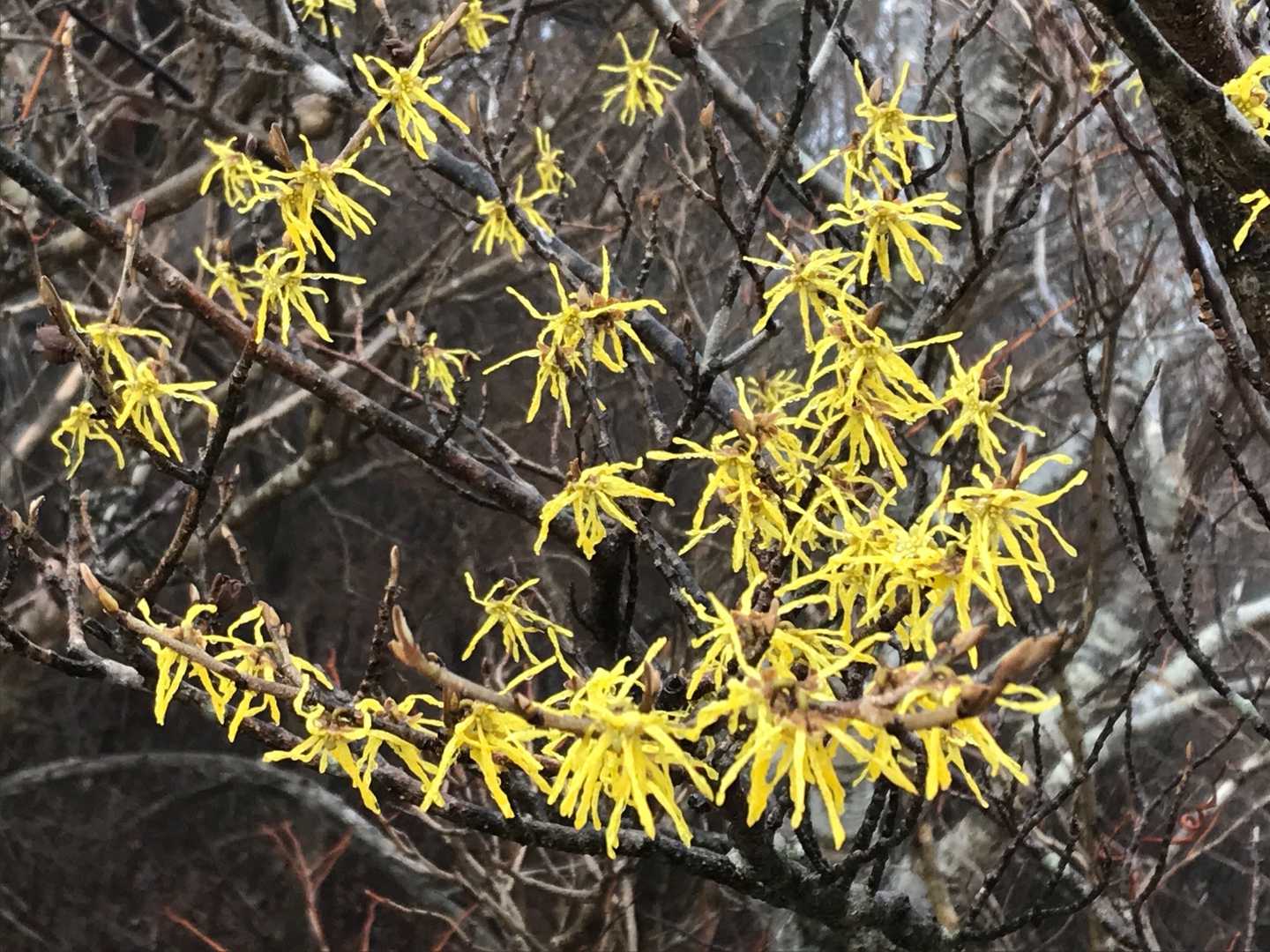 今日イチ！