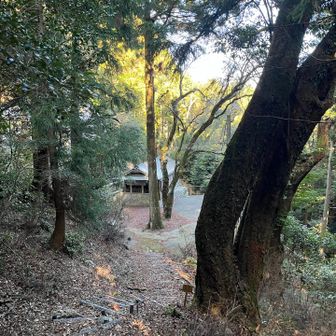 見えてきた生石神社⛩️
