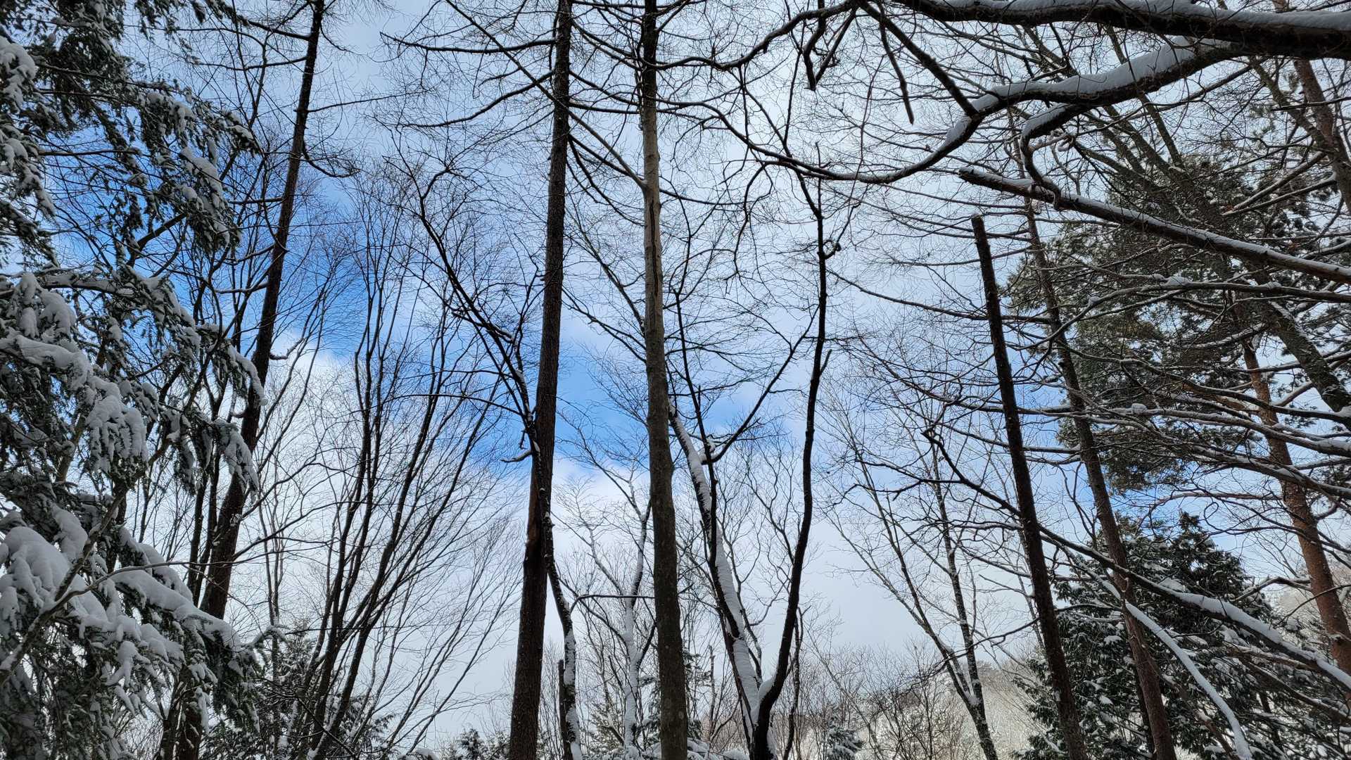 たまに青空も🙆