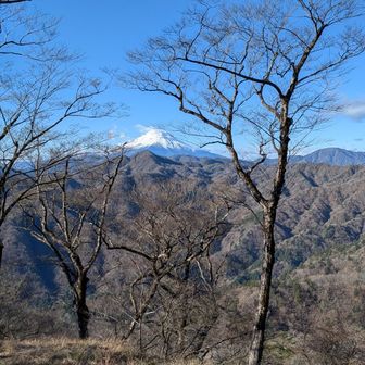 大室山への道を登っていくと、大杉丸あたりから富士山が見え始めた！