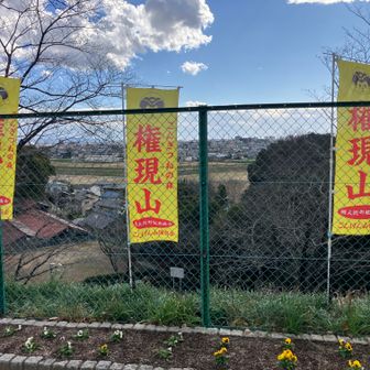 広場からの眺め