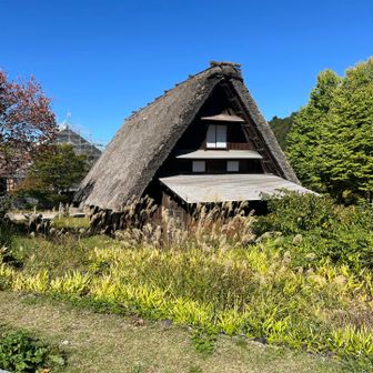 熊じゃ無く人でした♪

あの二人、怖かったやろな！
音楽全開で、手を叩きながら、ウホー言って降りてくるやつが居たら！笑😆

お終い🎵