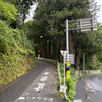 ここで左に入ります