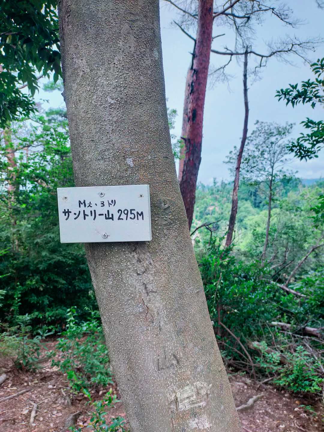 独り占めできました✌️