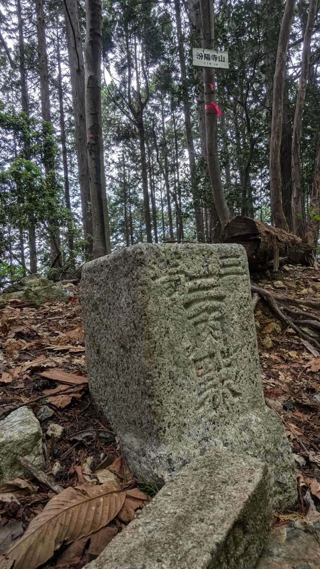 汾陽寺山三角点！残念ながら眺望ないです。