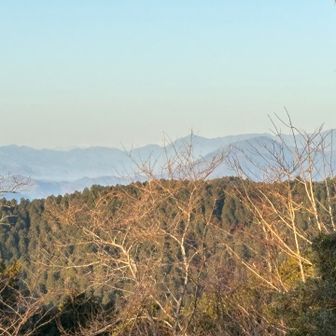 と思ったけれど、山火事延焼中の扇山の向こう側から煙が漂っているように見える
富士山が霞んで見えていたのは、このせいもあるのかな