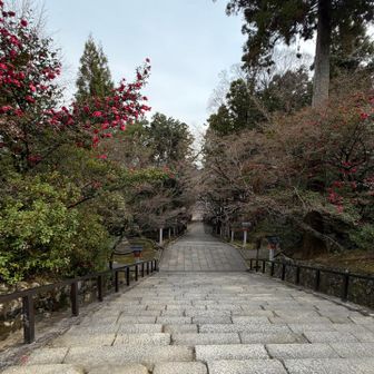 渡月橋を渡り、法輪寺の見晴らし台へ
電気・通信の神様を祀っている
その関係の仕事をしていると思われる方々がお参りに来ていた