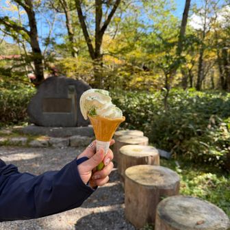 明神池ソフトクリームだったかな😓