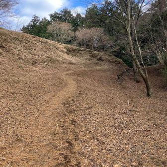 続く今度は土塁らしきものがでてきた