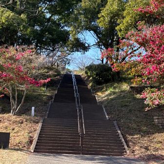 奥に展望台が見えていたのでたかを括って走り出したら、あれ？思ったより階段続いてる…
敢えなく途中でストップ。再度登り出すまでにかなり息を整える羽目に