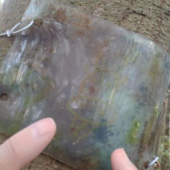 またまた発見、マキバオー的な
🐴のイラストプレート