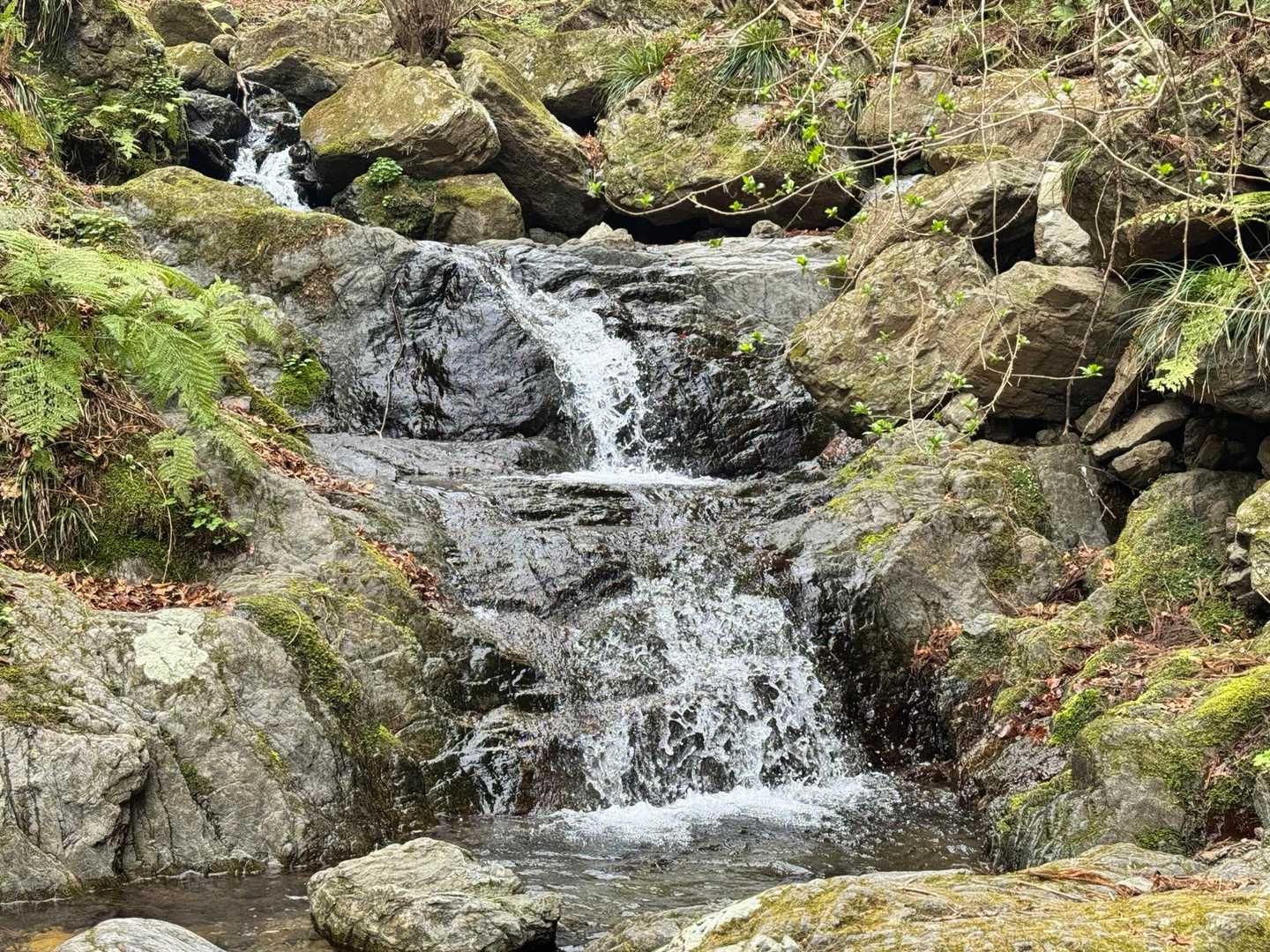 龍泉寺登山口-白谷沢登山口-権次入峠-棒ノ嶺-槇ノ尾山-長 周回コースの写真