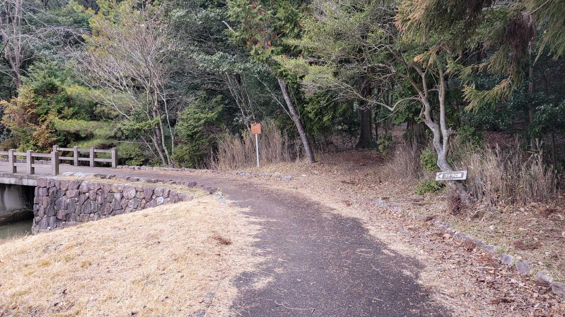登山口の標識が見えてきました。