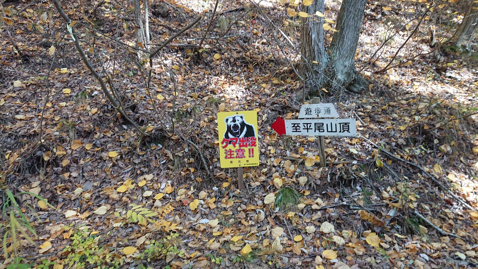 平尾富士-竜神池 往復コースの写真