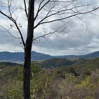 団体さんの先客あり。