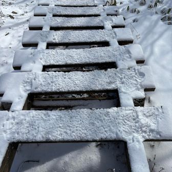 踏み外さないように気をつけて…💦
あっという間にお疲れ山🏔️でした