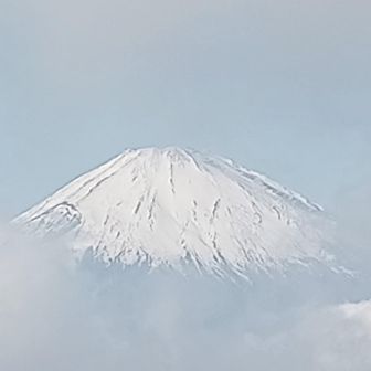 アタマ出たよ〜😆