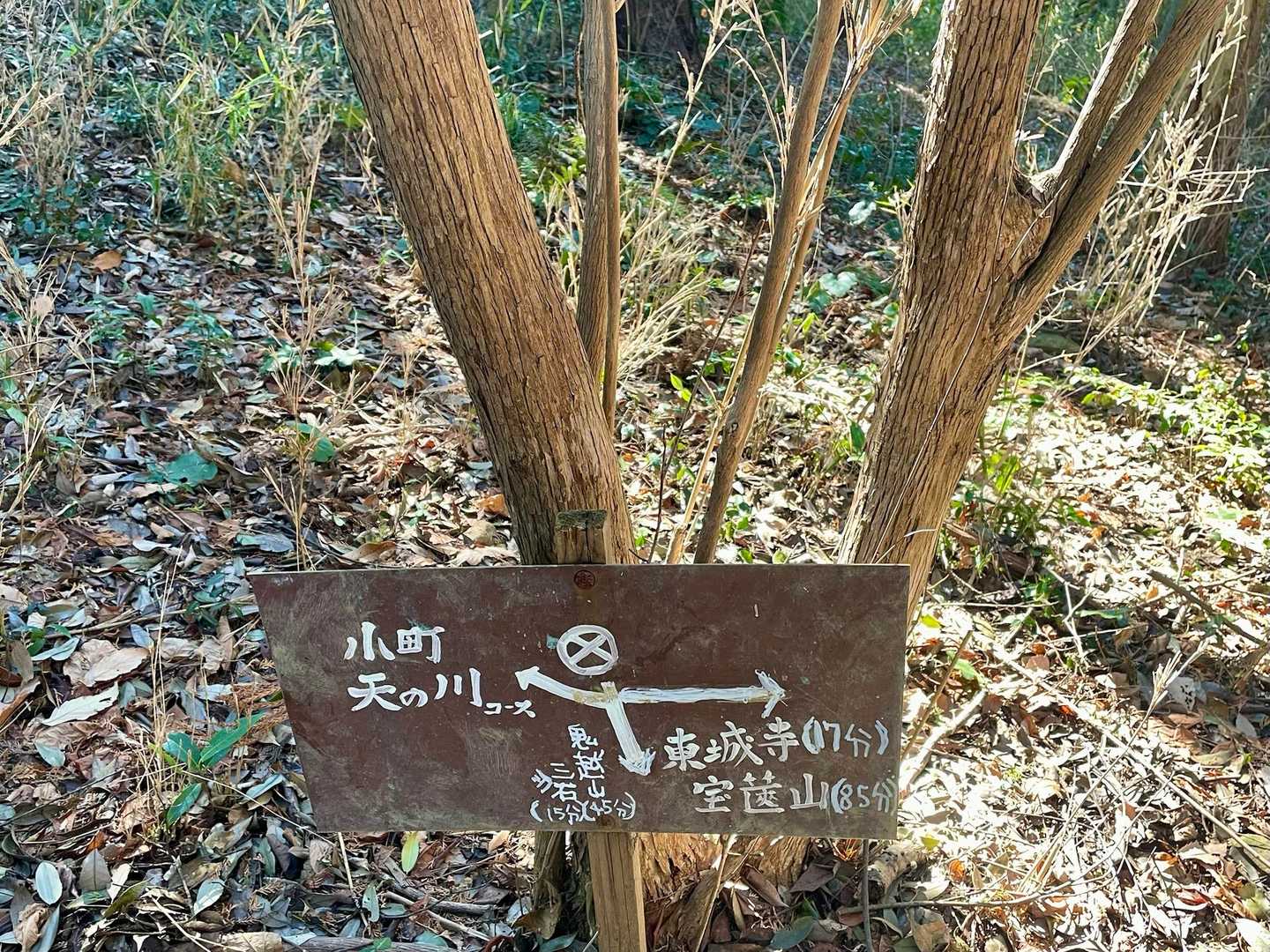 ⛔️歩き回って結局ここへ出ました😁