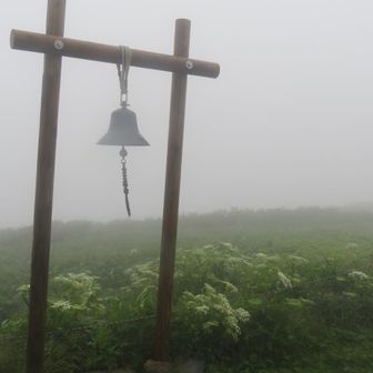 天気良ければ、中岳から稜線見えるのになぁ。