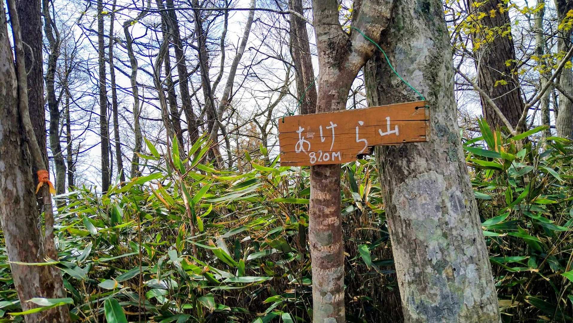 あけら山。　もうあかん💧
次の青麻山は登ったことあるからここで待ってることを提案したが、2人に演技だと思われる😅
いやいや、なんか今日はホントに無理なんですって〰〰〰😭笑