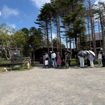 大人気コロポックルヒュッテ…