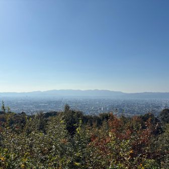 東山、青蓮院近く。なんとなく黄色く霞んでる？
なんとなく目も痒い気が…いや、気のせいだ。
一望できます。