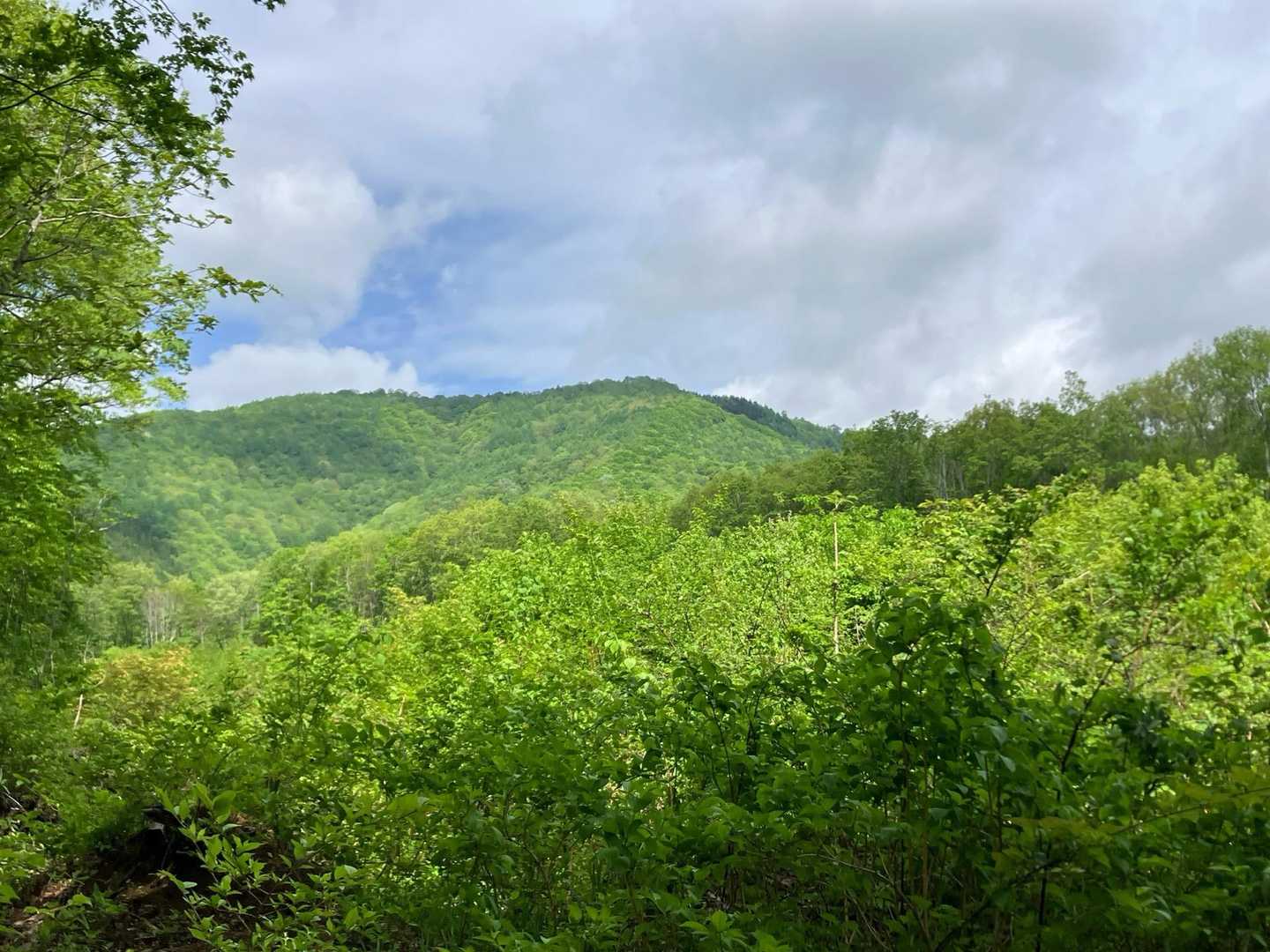 あれが山頂かな⛰️