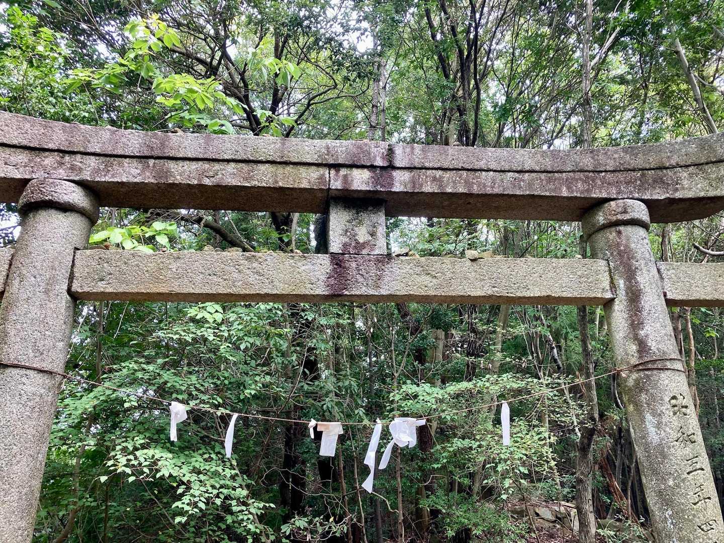 鳥居⛩️の上に、石🪨を投げ、何個か乗っているが、良い事があったのかな？