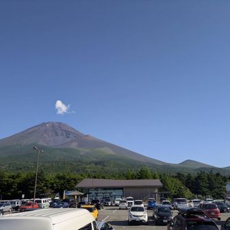 shunnichi
