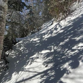 ずっとノートレース