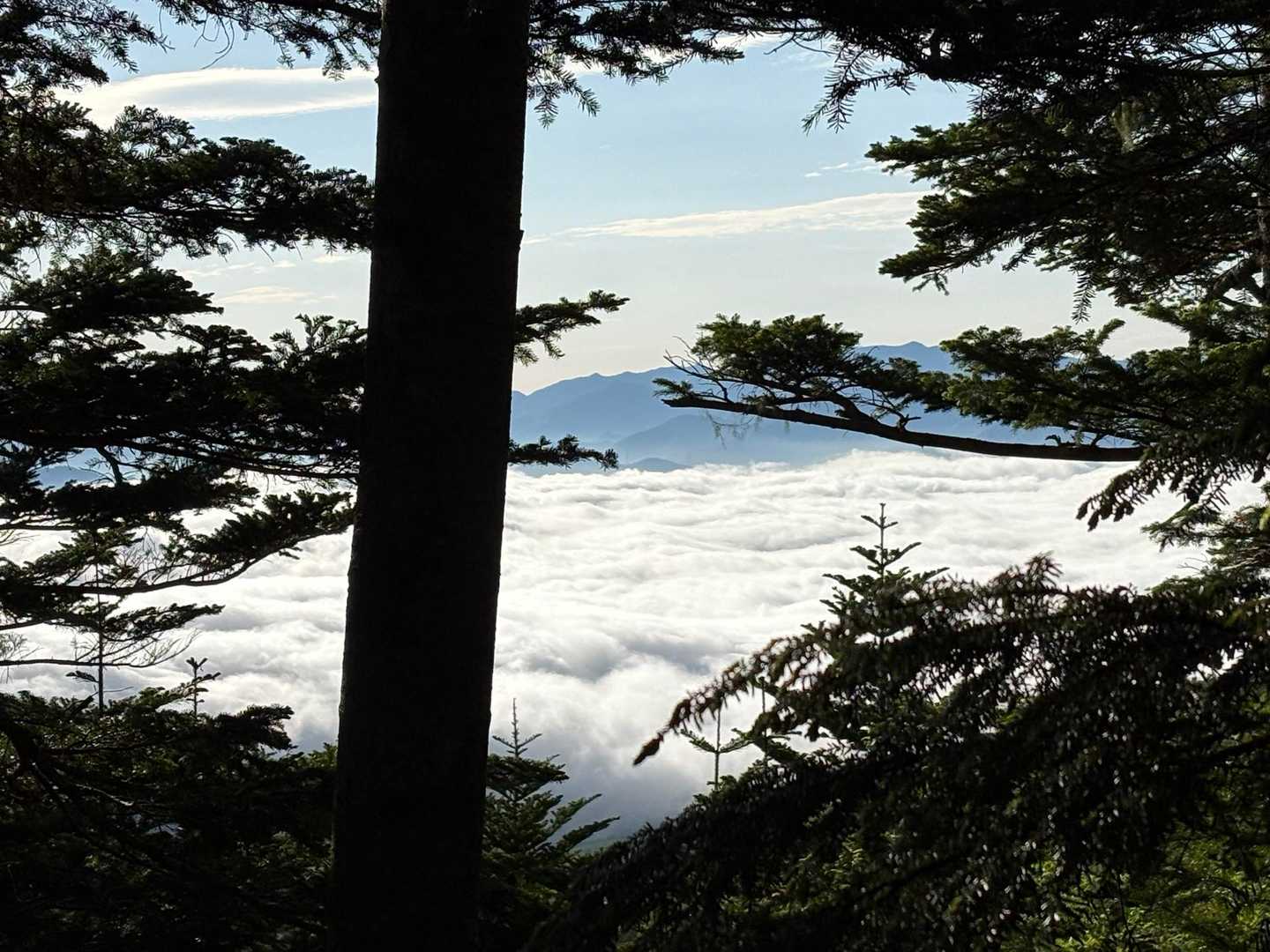 雲海☁️だぁ(≧∇≦)✨️✨️☁️