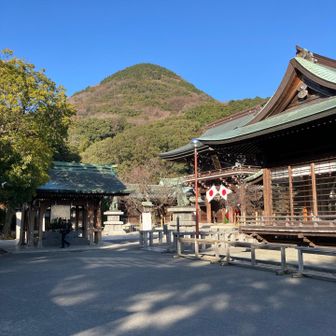 今から登りますよ
日本一の注連縄が飾られた神殿は、人の写り込みが多くUP出来ず