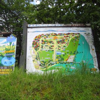 無事下山　さあ、キリシマギンリョウソウを探しに行こうかな🎶