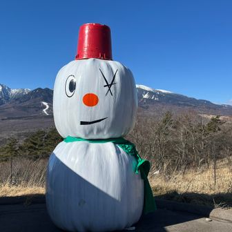 野辺山名物雪だるま⛄️