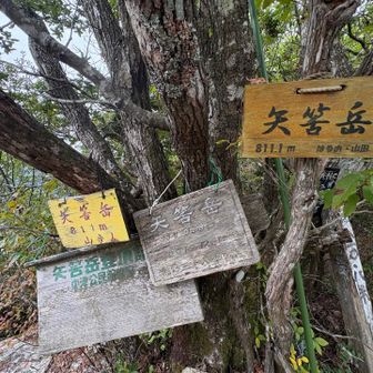 矢筈岳到着〜🙌🏻長かった〜