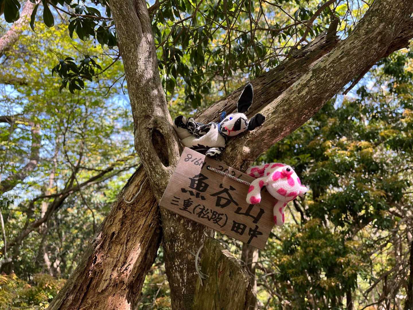 魚谷山に到着