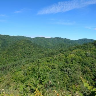 周りの山々