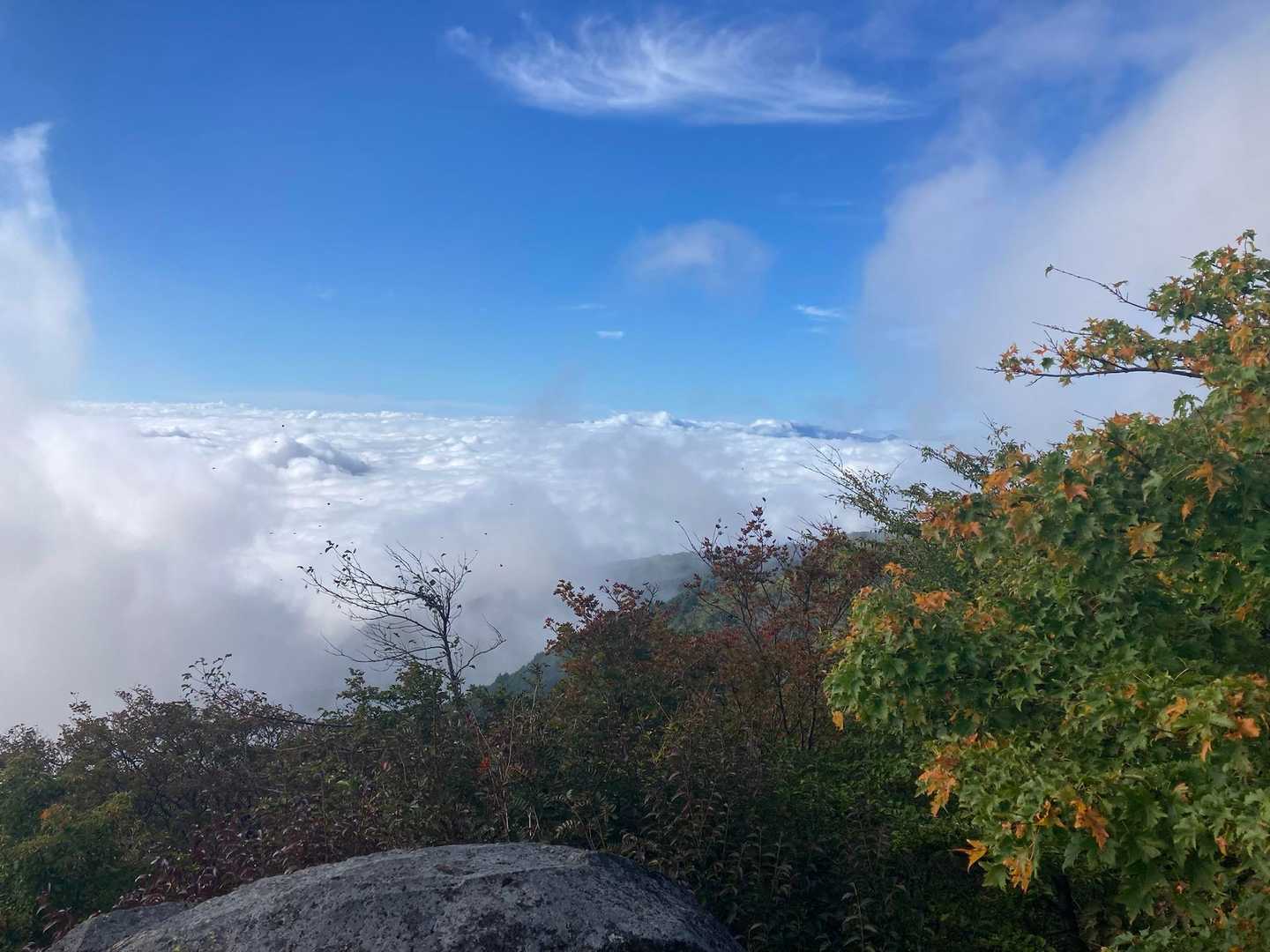 でも、素晴らしい