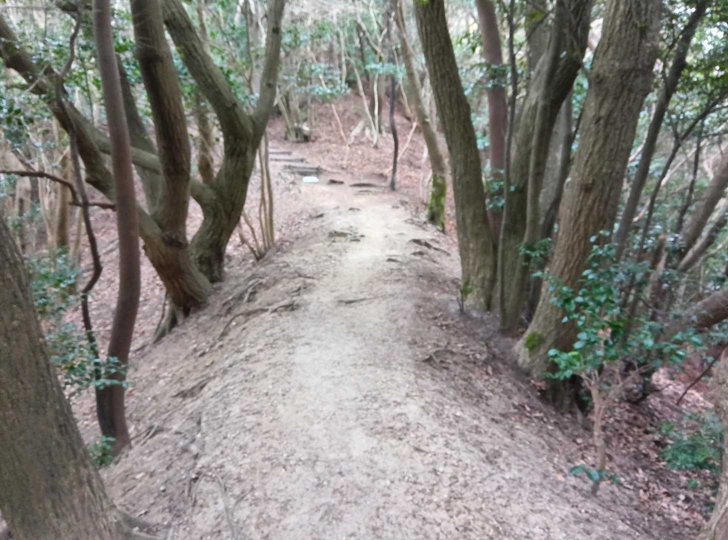 観音岳-筒ヶ岳 往復コースの写真