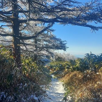 こちらも絶景の雰囲気、、、