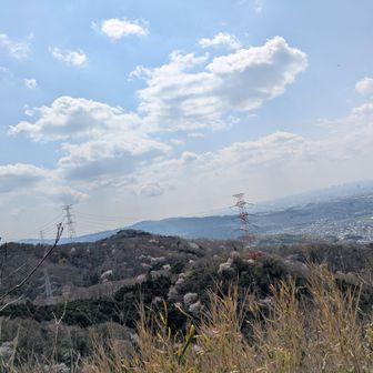 交野山からの風景