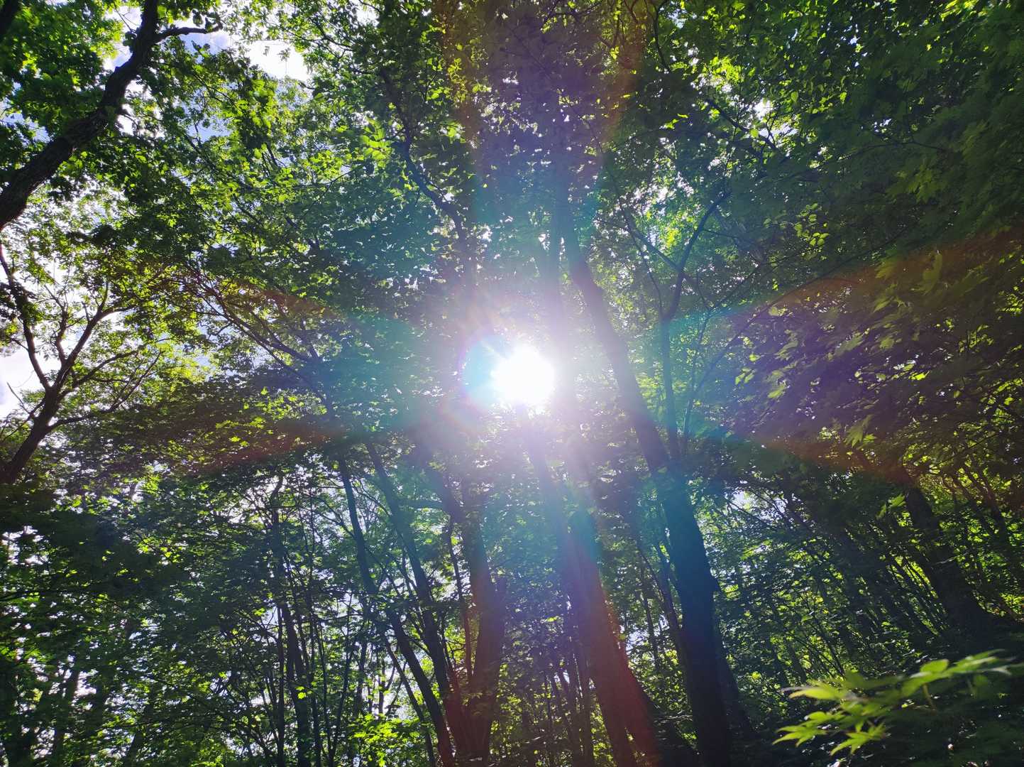 わー☀