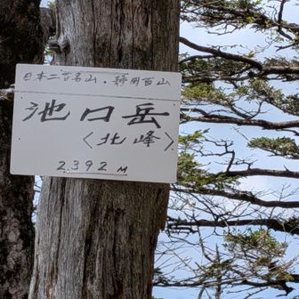 山名標としてはコレだけでした。

北峰から先はコース状況が一変するらしいので、南峰から戻ってきた仮称Ａさん（たぶんnori-horiさん）にこの先の登山道の様子をお聞きして、何とかイケると判断。

登りの途中でオジチャンを追い越し、先着してランチを済ませていた仮称Ｂさんは北峰で引き返す予定だったようだけど、強引にお誘いして同行いただくことに。