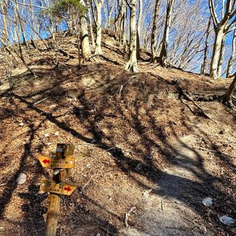 笹子峠
ロープの急登を見上げたところ