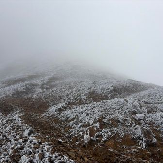 すぐまた雲に覆われてしまう
山頂まで行って行けないこともなさそうだけど、下りで滑ったらアウトだな