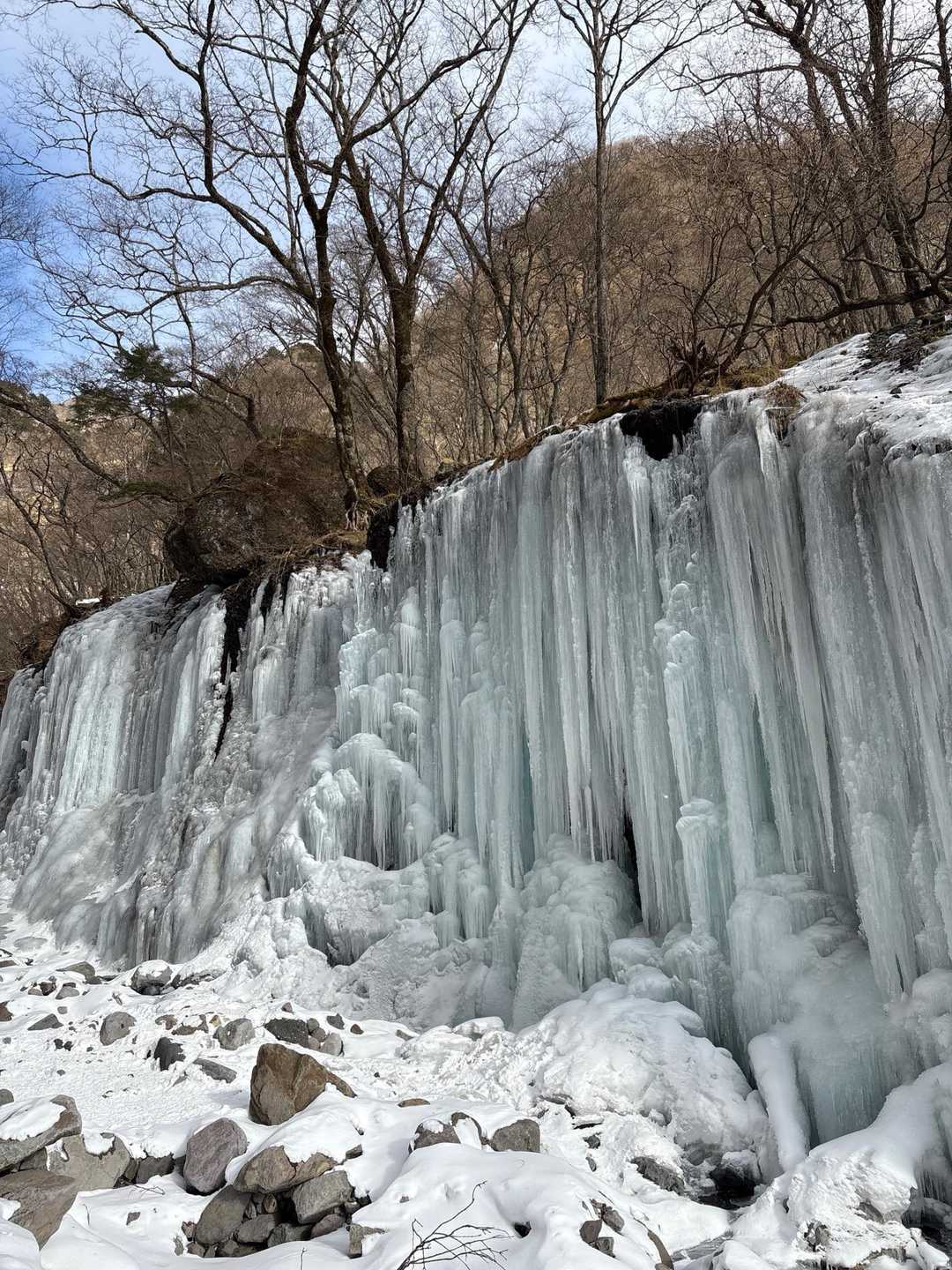 きれ〜い✨