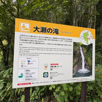 大瀬の滝です
ぜひ歩いてこちらまで！！めちゃおすすめです✨