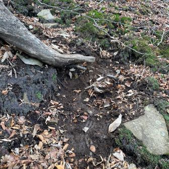 ゆっくり慎重に降りてたつもりでしたが、下りではやっぱり何回か滑ってしまいました
とにかく崖の下に滑落だけはしないように気をつけながら進みます