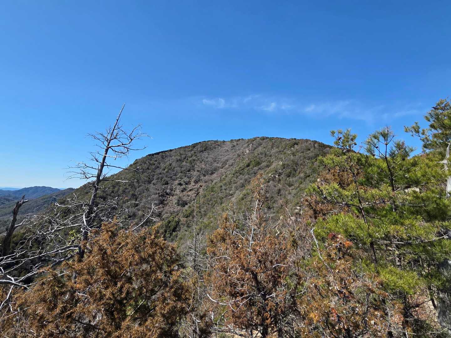 小田山へ